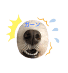 ニックの色んな顔 パート2（個別スタンプ：5）