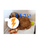 僕の犬の日常生活2（個別スタンプ：6）