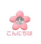 ねこ好き注意スタンプ2（個別スタンプ：1）