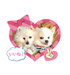 リコたんandりく君！（個別スタンプ：1）