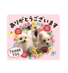 リコたんandりく君！（個別スタンプ：2）