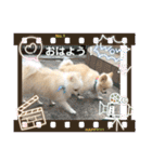 リコたんandりく君！（個別スタンプ：8）