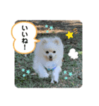 リコたんandりく君！（個別スタンプ：9）