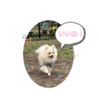 リコたんandりく君！（個別スタンプ：13）