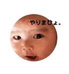 みやぽんぽん（個別スタンプ：23）