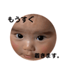 みやぽんぽん（個別スタンプ：24）
