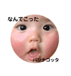 みやぽんぽん（個別スタンプ：28）