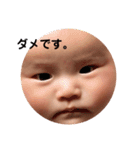 みやぽんぽん（個別スタンプ：31）