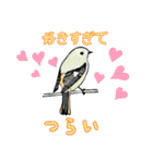 野鳥のはんこスタンプ②（個別スタンプ：4）