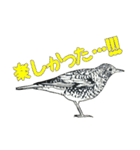 野鳥のはんこスタンプ②（個別スタンプ：14）