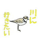 野鳥のはんこスタンプ②（個別スタンプ：34）