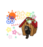 黒トイプーのマロンちゃん（個別スタンプ：2）