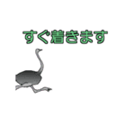 動く鳥獣戯画風スタンプ3（個別スタンプ：5）