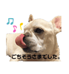 Kのぼる君のスタンプ（個別スタンプ：11）