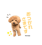 毎日からあげ。(敬語)（個別スタンプ：1）