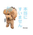毎日からあげ。(敬語)（個別スタンプ：7）