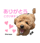 毎日からあげ。(敬語)（個別スタンプ：8）