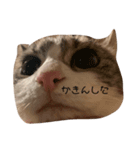かゆちのFPSすたんぷ②（個別スタンプ：7）