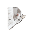 かゆちのFPSすたんぷ②（個別スタンプ：8）