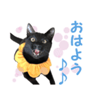 アボです！（個別スタンプ：1）