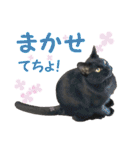アボです！（個別スタンプ：5）