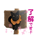 アボです！（個別スタンプ：7）