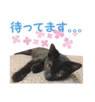 アボです！（個別スタンプ：9）