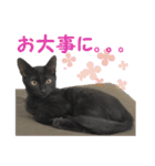 アボです！（個別スタンプ：10）