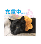 アボです！（個別スタンプ：14）