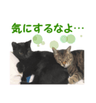 アボです！（個別スタンプ：18）