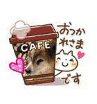 ぽんすけの日々（個別スタンプ：7）