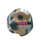 まやまやまやまや（個別スタンプ：2）