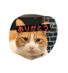 まやまやまやまや（個別スタンプ：3）