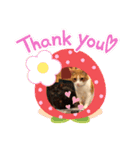 まやまやまやまや（個別スタンプ：8）