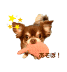 おやじむぅさんとときどきおまめ。（個別スタンプ：1）