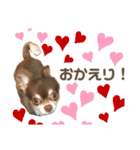 おやじむぅさんとときどきおまめ。（個別スタンプ：15）