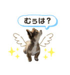 おやじむぅさんとときどきおまめ。（個別スタンプ：17）