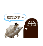 おやじむぅさんとときどきおまめ。（個別スタンプ：19）