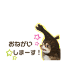 おやじむぅさんとときどきおまめ。（個別スタンプ：25）