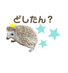 おやじむぅさんとときどきおまめ。（個別スタンプ：26）