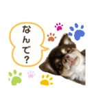 おやじむぅさんとときどきおまめ。（個別スタンプ：28）