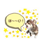 おやじむぅさんとときどきおまめ。（個別スタンプ：29）