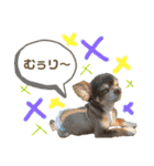 おやじむぅさんとときどきおまめ。（個別スタンプ：34）