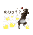 おやじむぅさんとときどきおまめ。（個別スタンプ：40）