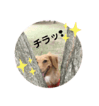 くるみ＆あんずPart3（個別スタンプ：4）