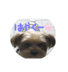 まめのきもちスタンプ！（個別スタンプ：3）