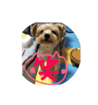 まめのきもちスタンプ！（個別スタンプ：13）