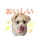 ちゃまちゃまスタンプ パート2（個別スタンプ：4）