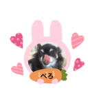 うちのアンナです❣️（個別スタンプ：7）