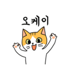 にゃんこたち 1 (韓国語)（個別スタンプ：14）